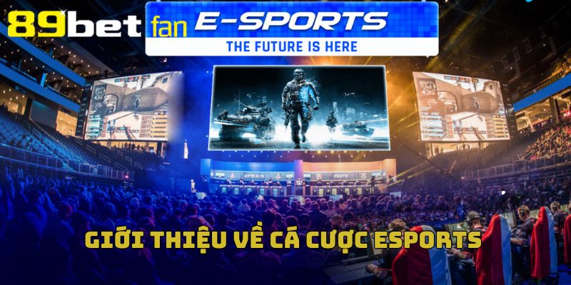 Đôi nét về sân cá cược Esports